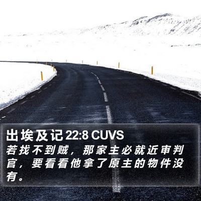 出 埃 及 记 22:8 CUVS Bible Verse Image