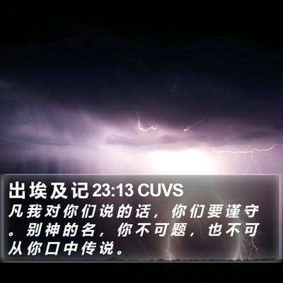 出 埃 及 记 23:13 CUVS Bible Verse Image