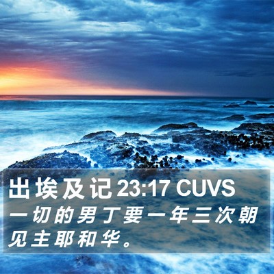 出 埃 及 记 23:17 CUVS Bible Verse Image