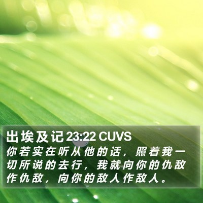 出 埃 及 记 23:22 CUVS Bible Verse Image