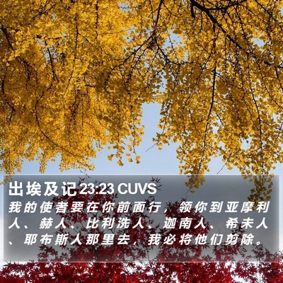出 埃 及 记 23:23 CUVS Bible Verse Image