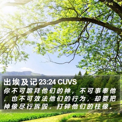 出 埃 及 记 23:24 CUVS Bible Verse Image