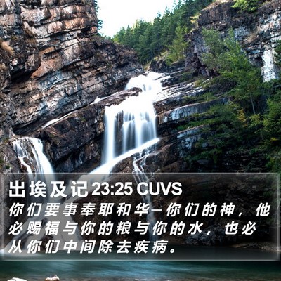 出 埃 及 记 23:25 CUVS Bible Verse Image