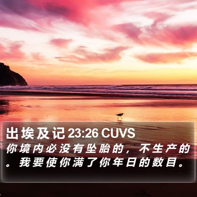 出 埃 及 记 23:26 CUVS Bible Verse Image
