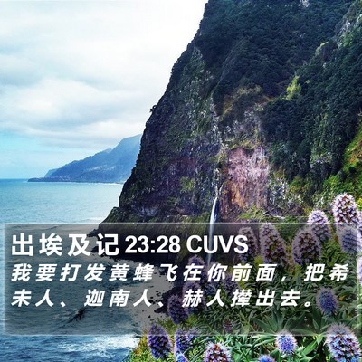 出 埃 及 记 23:28 CUVS Bible Verse Image