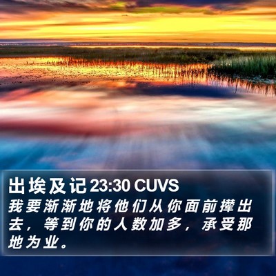 出 埃 及 记 23:30 CUVS Bible Verse Image