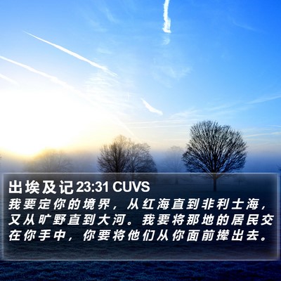 出 埃 及 记 23:31 CUVS Bible Verse Image