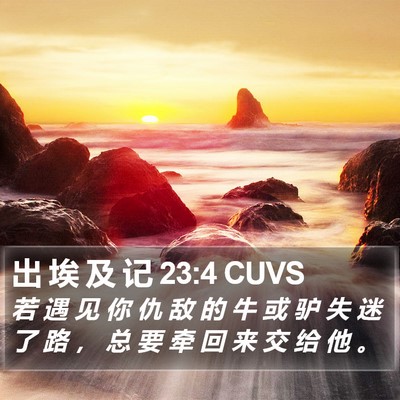 出 埃 及 记 23:4 CUVS Bible Verse Image