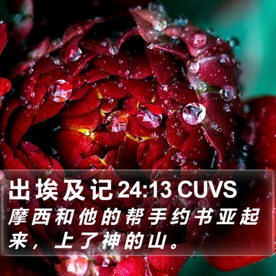 出 埃 及 记 24:13 CUVS Bible Verse Image