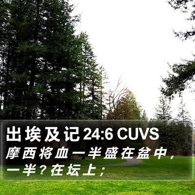 出 埃 及 记 24:6 CUVS Bible Verse Image