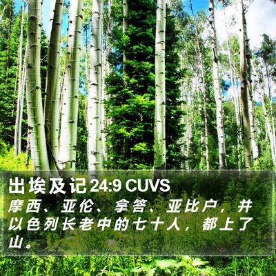 出 埃 及 记 24:9 CUVS Bible Verse Image