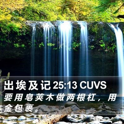 出 埃 及 记 25:13 CUVS Bible Verse Image