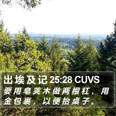 出 埃 及 记 25:28 CUVS Bible Verse Image