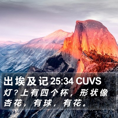 出 埃 及 记 25:34 CUVS Bible Verse Image