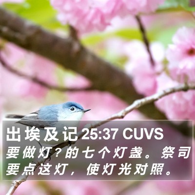 出 埃 及 记 25:37 CUVS Bible Verse Image