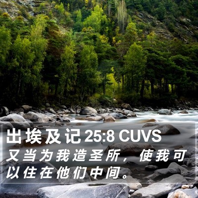 出 埃 及 记 25:8 CUVS Bible Verse Image