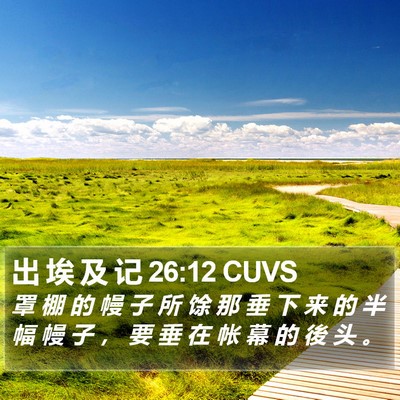 出 埃 及 记 26:12 CUVS Bible Verse Image