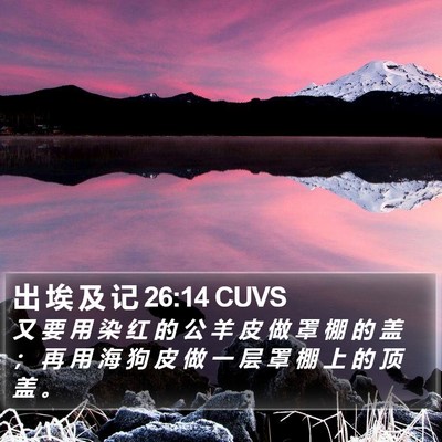 出 埃 及 记 26:14 CUVS Bible Verse Image