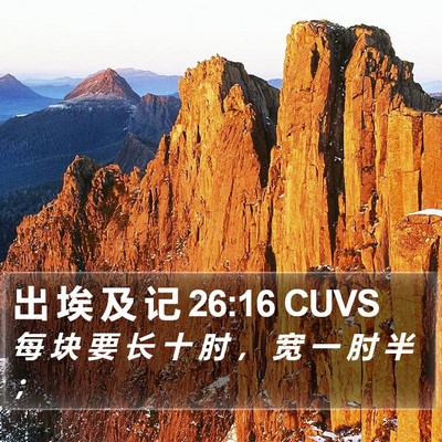 出 埃 及 记 26:16 CUVS Bible Verse Image