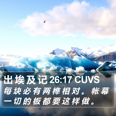 出 埃 及 记 26:17 CUVS Bible Verse Image