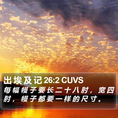 出 埃 及 记 26:2 CUVS Bible Verse Image