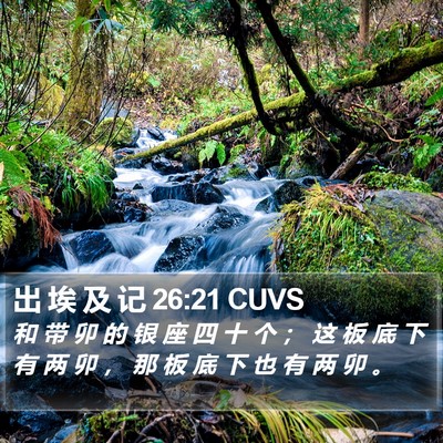 出 埃 及 记 26:21 CUVS Bible Verse Image
