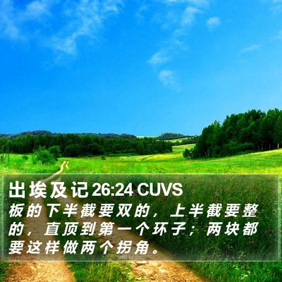 出 埃 及 记 26:24 CUVS Bible Verse Image