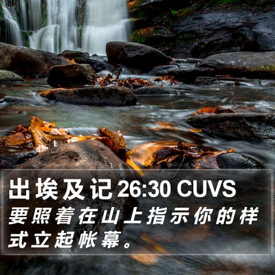出 埃 及 记 26:30 CUVS Bible Verse Image
