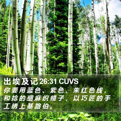 出 埃 及 记 26:31 CUVS Bible Verse Image