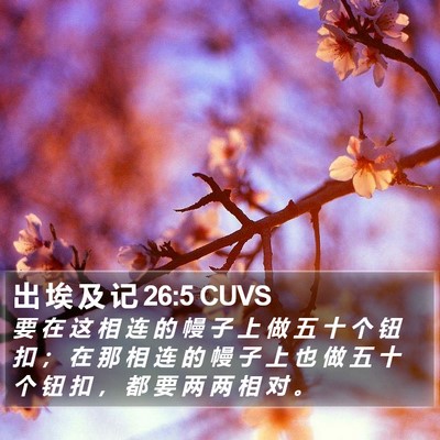 出 埃 及 记 26:5 CUVS Bible Verse Image