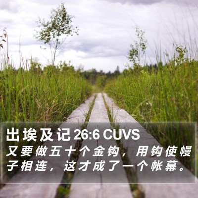 出 埃 及 记 26:6 CUVS Bible Verse Image
