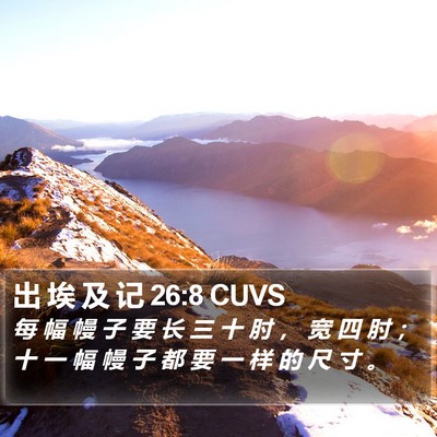 出 埃 及 记 26:8 CUVS Bible Verse Image
