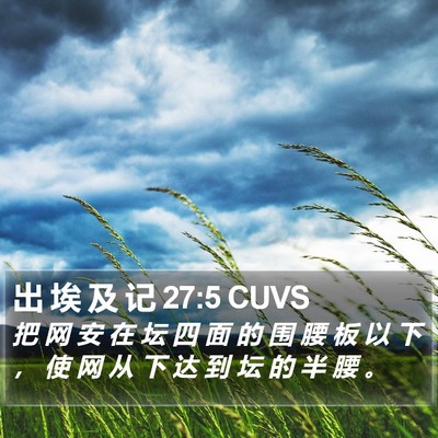 出 埃 及 记 27:5 CUVS Bible Verse Image