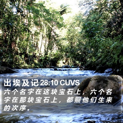 出 埃 及 记 28:10 CUVS Bible Verse Image