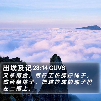 出 埃 及 记 28:14 CUVS Bible Verse Image