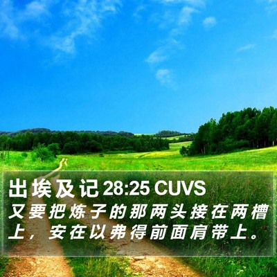 出 埃 及 记 28:25 CUVS Bible Verse Image
