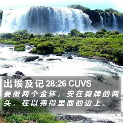 出 埃 及 记 28:26 CUVS Bible Verse Image