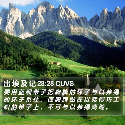 出 埃 及 记 28:28 CUVS Bible Verse Image