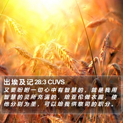 出 埃 及 记 28:3 CUVS Bible Verse Image