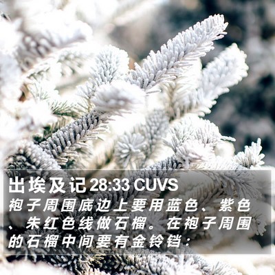 出 埃 及 记 28:33 CUVS Bible Verse Image