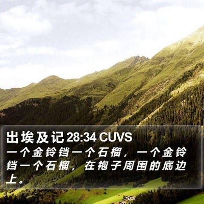 出 埃 及 记 28:34 CUVS Bible Verse Image