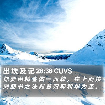 出 埃 及 记 28:36 CUVS Bible Verse Image