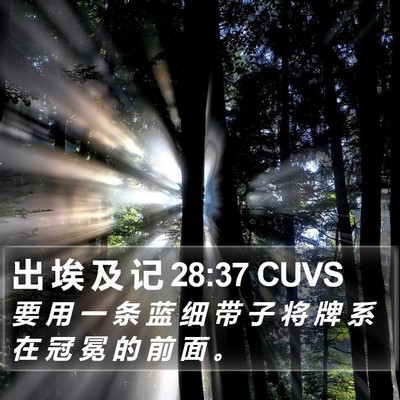 出 埃 及 记 28:37 CUVS Bible Verse Image