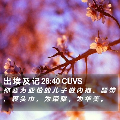 出 埃 及 记 28:40 CUVS Bible Verse Image