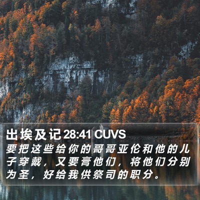 出 埃 及 记 28:41 CUVS Bible Verse Image