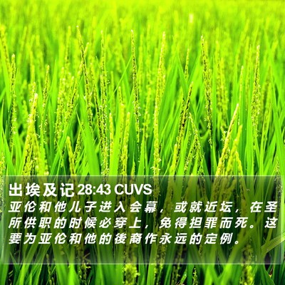 出 埃 及 记 28:43 CUVS Bible Verse Image