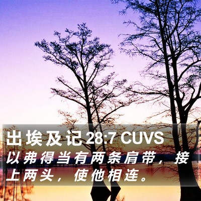 出 埃 及 记 28:7 CUVS Bible Verse Image