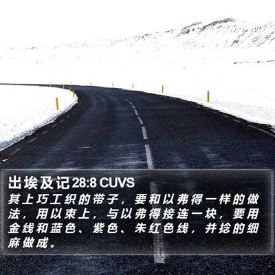 出 埃 及 记 28:8 CUVS Bible Verse Image