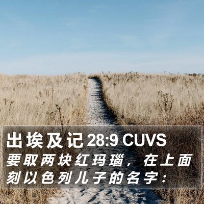 出 埃 及 记 28:9 CUVS Bible Verse Image