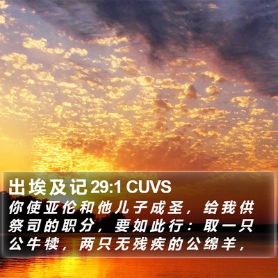 出 埃 及 记 29:1 CUVS Bible Verse Image